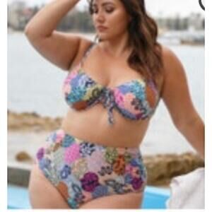 ArteSand 24 Bikini Bottoms Salmagundi Botticelli High Waist Swim Pant NWT PLUS